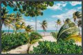 Best Costa Maya Beaches to Visit