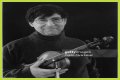 David Shapiro (musician)