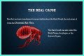 What Really Caused the Black Death: Anthrax or Celestial Bodies?